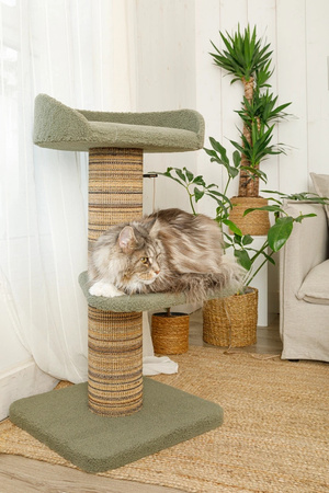 ZOLUX Drapak dla kota BOREAL 95 cm zielony