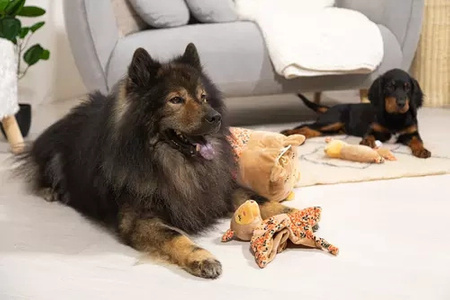 Zolux Zabawka pluszowa dla psa CHIQUITOS leniwiec podłużny XL 18,2x35,5x74