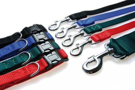 Zolux Obroża dla psa nylonowa taśma 25/35cm 10mm kol. czarny