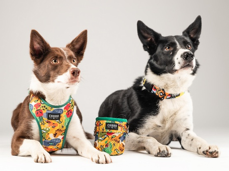 CHABA Obroża regulowana Story III XL Jumbo