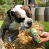 SmoothieDog Vege-Love - smoothie dla psa warzywa z ziołami (250ml)