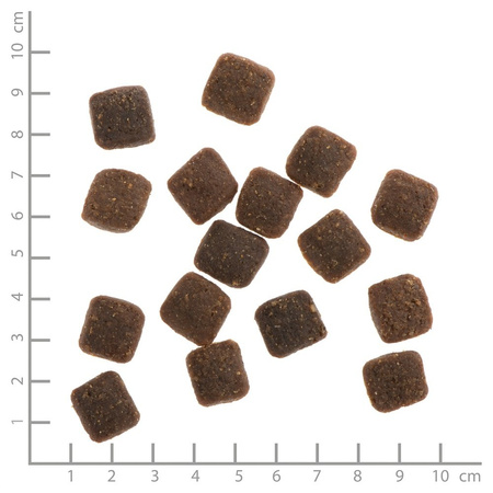 WILDES LAND DOG Soft Ente - kaczka - półwilgotna karma dla psa (5kg)