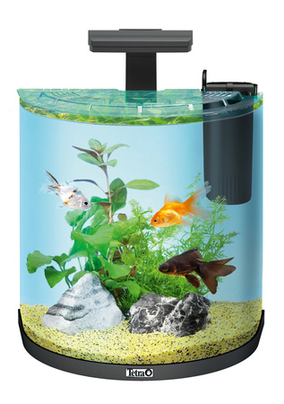 *- Tetra AquaArt Explorer Line 30 l Goldfish