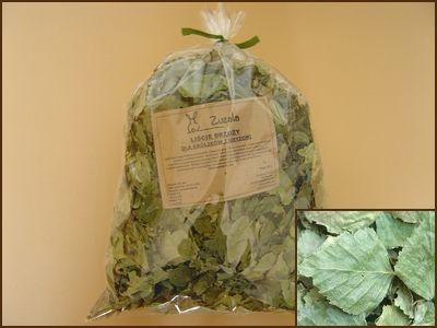 ZUZALA  LIŚĆ BRZOZY SUSZONY