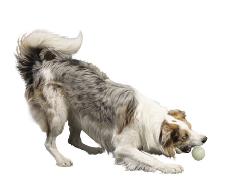 Kiwi Walker Let's Play Glow Ball Maxi piłka