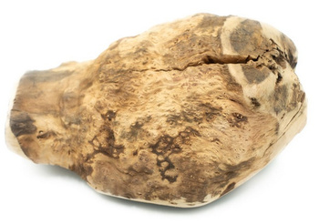 4DOGS GRYZAK DLA PSA Z KORZENIA WRZOŚCA   XL