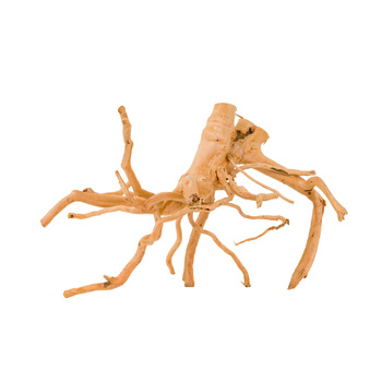 Korzeń Spider do akwarium / terrarium
