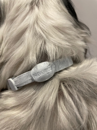 FRANCODEX PL Obroża na kleszcze PREVENDOG 35 cm dla psów do 5 kg - 2 szt