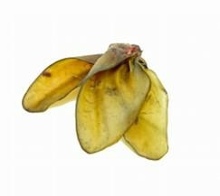 ARAMI B UCHO WOŁOWE NATURALNE 1 szt.