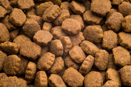 CLUB4Ł PIES 14kg DUŻA RASA  KURCZAK