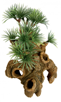 Zolux Ozdoba do akwarium "Bonzai" miniatura