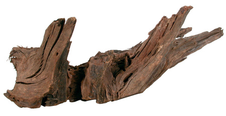 ZOLUX Ozdoba akwarystyczna korzeń Mangrowca 40-60 cm