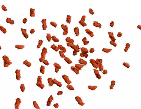 Tetra Discus 15 g saszetka