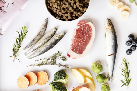 YDOLO Puppy - wieprzowina Iberico i ryby - karma półwilgotna dla szczeniąt (100g)