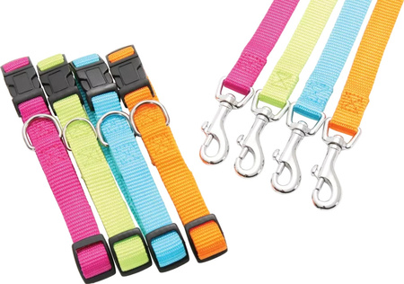 Zolux Obroża nylonowa dla psa regulowana 40 mm kol. turkusowy