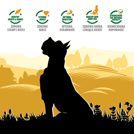 Karma sucha dla psa PUPIL Premium LARGE bogata w kurczaka 10 kg