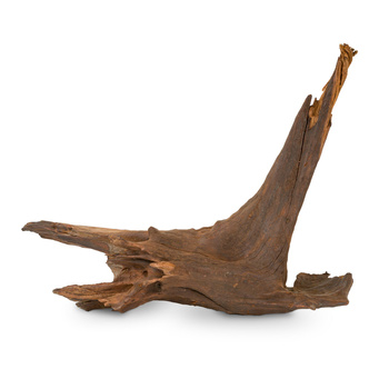 Korzeń Koralowcowy do akwarium / terrarium