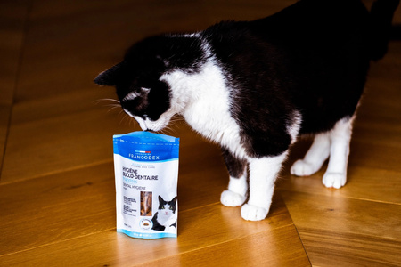 FRANCODEX Przysmak dla kociąt i kotów higiena jamy ustnej 65 g