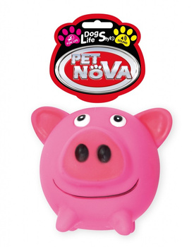 PET NOVA VIN PIG BALL 10cm       /6
