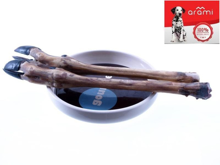 ARAMI B RACICA SARNY 2szt