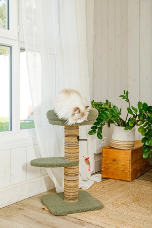 ZOLUX Drapak dla kota BOREAL 70 cm zielony