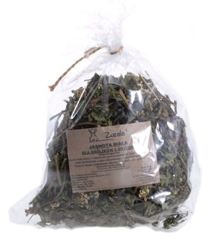 ZUZALA  JASNOTA BIAŁA