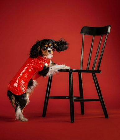 CHABA KUBRAK DOPAMINE `M` CZERWONY 28cm