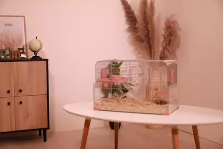 ZOLUX Klatka dla małych gryzoni Panas Colour 80 kol. różowy