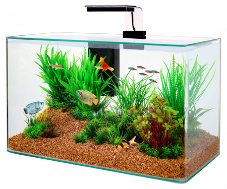 Zolux Zestaw akwarium i oświetlenie LED AQUA CLEAR 500x250x300 mm czarny