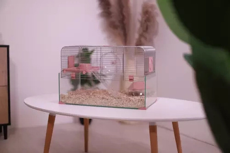 ZOLUX Klatka dla małych gryzoni Panas Colour 80 kol. różowy