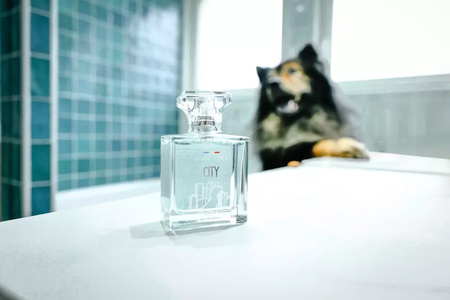 FRANCODEX Perfumy dla psa, bez alkoholu City Zapach unisex 50 ml
