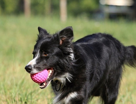 Kiwi Walker Let's Play Ball Mini piłka różowa