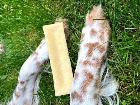 ZOLUX Przysmak naturalny dla psa Ser himalajski Giant 151 g