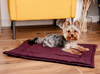 MIMIKO Pets Mata Velvet 70x50cm śliwka
