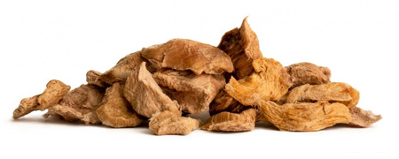 AYLA filet z uda indyka - liofilizowane przysmaki dla psa (28g)