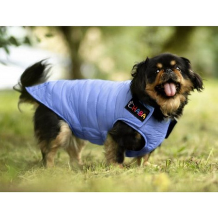 CHABA KURTKA PIKOWANA TOMI NIEBIESKA r 4