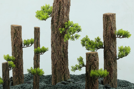 Zolux Ozdoba do akwarium FOREST XS 7,2x5,6x17,5 cm