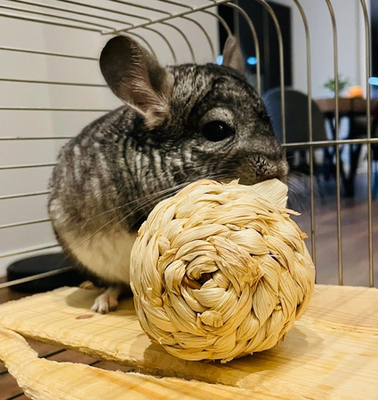 ZOLUX Zabawka dla małych ssaków, rzodkiewka z liści kukurydzy EHOP