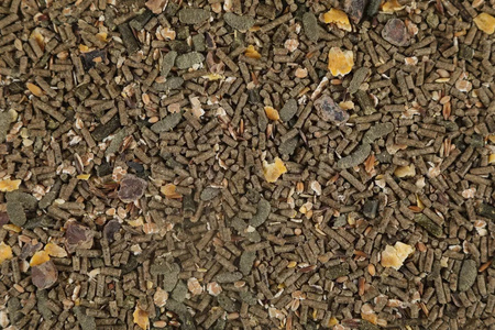 Zolux Pokarm mieszanka dla dorosłego królika NUTRIMEAL 3 800 g