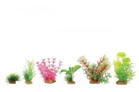 ZOLUX Ozdoba do akwarium rośliny mix x 6 szt. zestaw 4