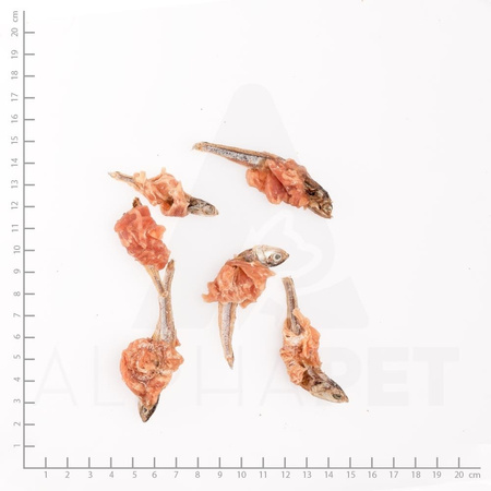 WILDES LAND Hühnerbrust mit Fisch - filet piersi kurczaka z rybkami - przysmaki mięsne dla psa i kota (200g)