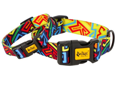 Dingo Obroża regulowana City - Graffiti 2,0cm/45cm