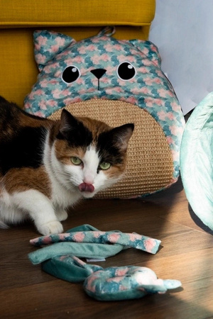 ZOLUX Zabawka dla kota drapka, liście ETHICAT 41 cm