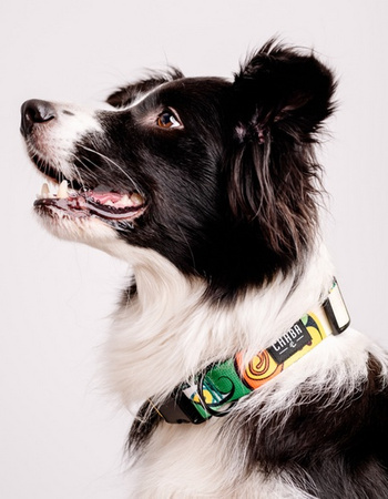 CHABA Obroża regulowana Story III S Jumbo