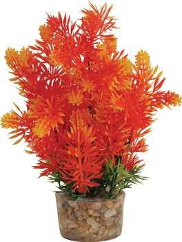 Zolux Ozdoba do akwarium roślina średnia z zestawu nr 3