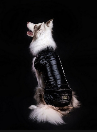 CHABA KUBRAK DOPAMINE `XS` CZARNY 23cm