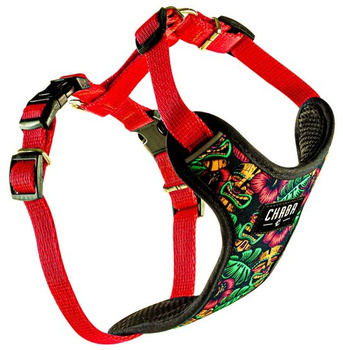 CHABA SZELKI BEZUCISKOWE STORY ``M``      WAIKIKI 1,6/34-48cm