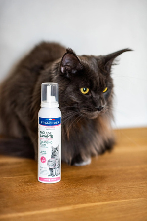 FRANCODEX Pianka myjąca bez spłukiwania dla kotów 150 ml