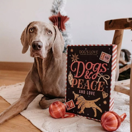 DOG'S LOVE kalendarz adwentowy dla psa (168g)