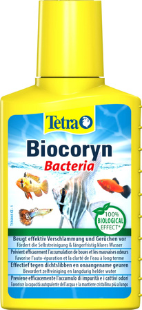 TETRA Biocoryn 100ml bakterie w płynie usuwa szkodliwe składniki w akwarium